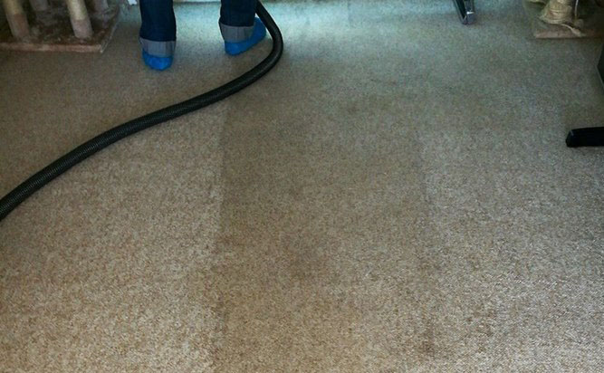 Carpet Cleaning Brighton