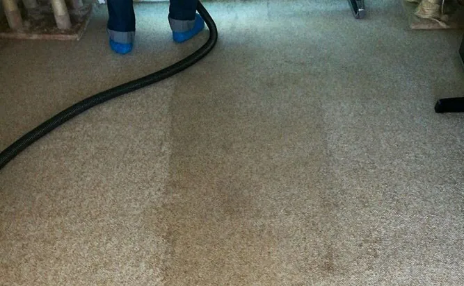 Carpet Cleaning Brighton