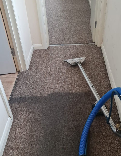 Hallway carpet clean Hove