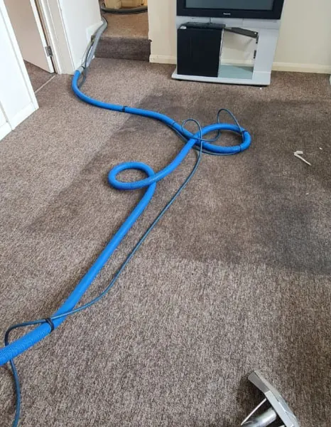 Living room carpet cleaner in hove