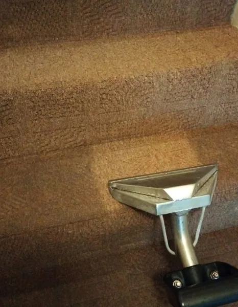 Stars carpet cleaning in hove